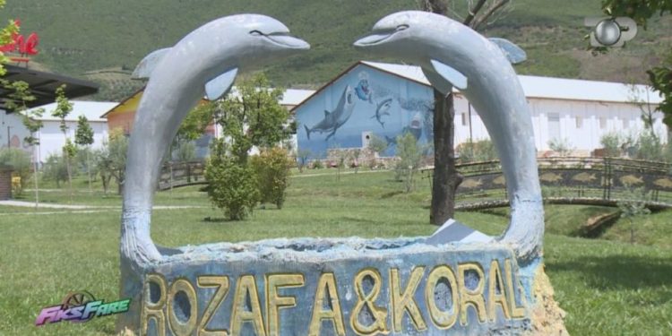 Banorët protesta kundër fabrikës së peshkut! ‘Rozafa’ në rregull ligjërisht: Si mashtroi PD?!