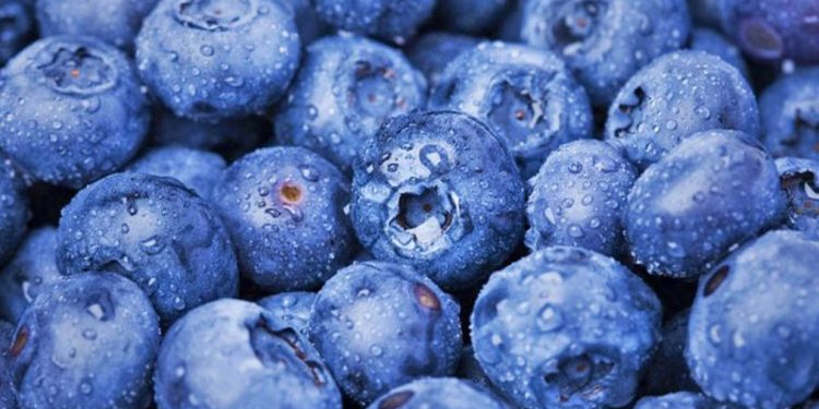 Frutat e ëmbla/ A duhen shmangur nga diabetikët dhe cila është sasia e duhur