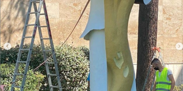 Kujdes se do i’u godasi! Rama rikthen “kërpurdhën” e famshme pas dëmtimit nga lularët, por me një ndryshim: Karakteristika e kësaj është se kur goditet rritet