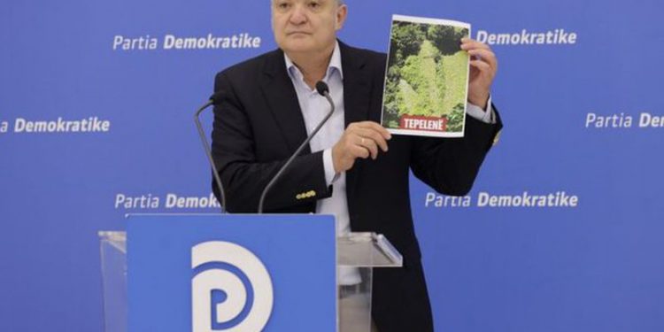 Djali i gjyqtarit të dikataturës nga PD “nxjerrë pamjet” e k.anabisit të mbjellë nga veriu në jug! Reagon ashpër policia, nxjerr “zbuluar” Çlirim Gjatën