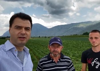 Lotët e devolliut që punon e s’fiton dhe “rropatja” e Luli Bashës që paguhet se mashtron