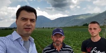 Lotët e devolliut që punon e s’fiton dhe “rropatja” e Luli Bashës që paguhet se mashtron