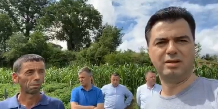 “Lajme të mira”! Fermerët që i gënjen Luli marrin nga  Rama njoftimin e rëndësishëm (Video)