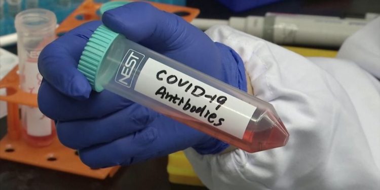 Ethet e shpresës, virologu i Oksfordit: Afër një vaksine, prag-Krishtlindjet sjellin injektimet e para