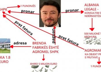 FAKSIMILE/ Skemë “oktapodi”: Shkëlzen Berisha hap disa kompani boronicash për të humbur gjurmët e parave
