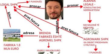 FAKSIMILE/ Skemë “oktapodi”: Shkëlzen Berisha hap disa kompani boronicash për të humbur gjurmët e parave