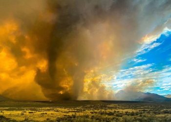 “Ferri zbret në Tokë”! Situata i del jashtë kontrollit këtij shteti, zjarre dhe temperatura rekord: Shikoni nga imazhet çfarë po ndodh!