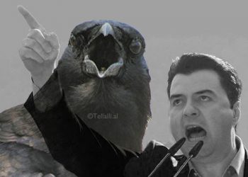 Deputetja Artemis Malo thumbon PD-LSI dhe iu bën thirrje qytetarëve: Shpërfillini, mos humbni kohë me sorra