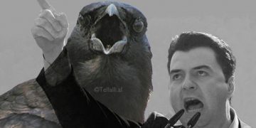 Deputetja Artemis Malo thumbon PD-LSI dhe iu bën thirrje qytetarëve: Shpërfillini, mos humbni kohë me sorra