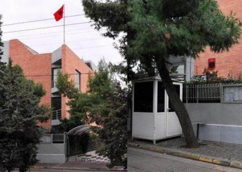 Ambasada shqiptare në Greqi ka një lajm të mirë për emigrantët