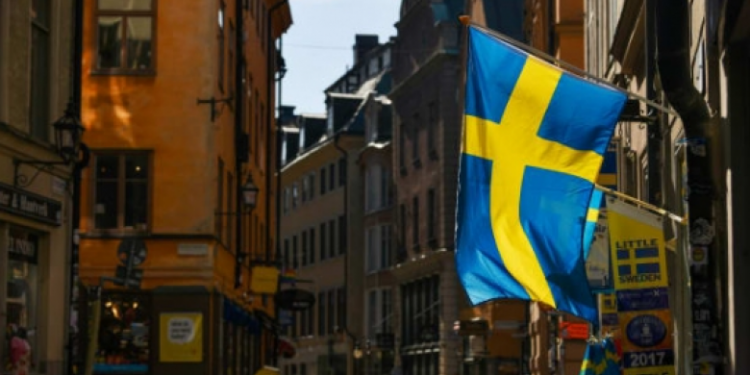 Ministrja e Jashtme e Suedisë, bisedë me Ramën: Do koordinojmë punën me mikun tim