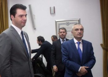 Meta si lider opozite, Basha si president