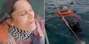 VIDEO/ E zhdukur prej dy vjetësh, gjendet e gjallë nga një peshkatar në mes të detit