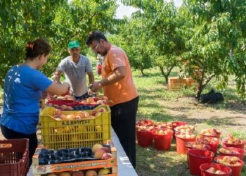 Një super lajm për gjithë punëtorët sezonal që punojnë në Greqi, qeveria merr vendimin e ri