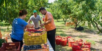 Një super lajm për gjithë punëtorët sezonal që punojnë në Greqi, qeveria merr vendimin e ri