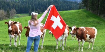 Po kërkoni punë, Zvicra në krizë për punëtorë me paga të majme