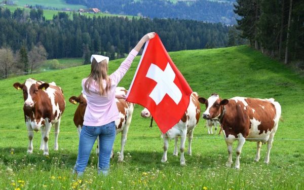 Po kërkoni punë, Zvicra në krizë për punëtorë me paga të majme