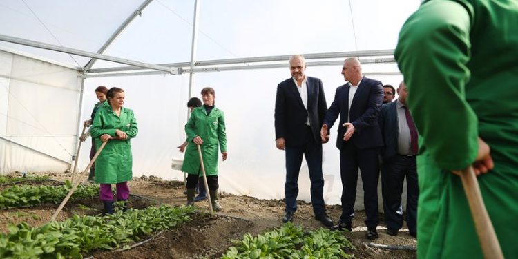 Qeveria lehtësira për fermerët, hiqet akciza për karburantin dhe taksat për qarkullimin e karbonit, ja si do të veprohet