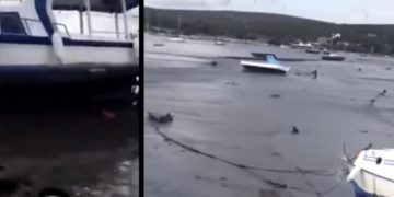 VIDEO/ Qytetarët mbeten të befasuar, ndodh fenomeni i çuditshëm pas tërmetit tragjik në Turqi