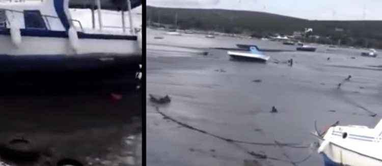 VIDEO/ Qytetarët mbeten të befasuar, ndodh fenomeni i çuditshëm pas tërmetit tragjik në Turqi