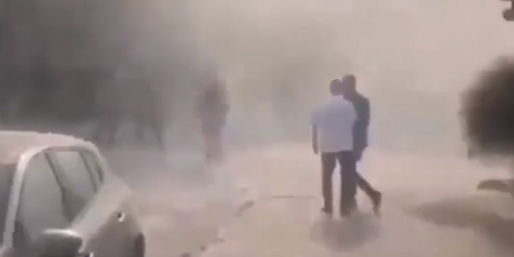 VIDEO/ Pallate që rrëzohen totalisht, njerëz nën rrënoja, varka gjigande që thithen nga deti dhe peshq në rrugë