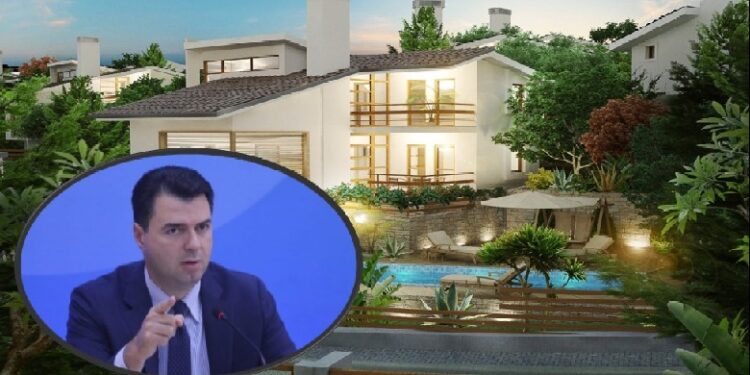 Dy sukseset e Lulit tek Çimi dhe pyetjet pa përgjigje