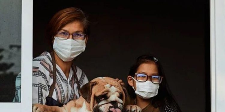 Publikohet studimi më i fundit nëse jeni prekur nga COVID-19: Zbuloni se çfarë i ndodh gjysmës së familjes suaj brenda disa ditësh