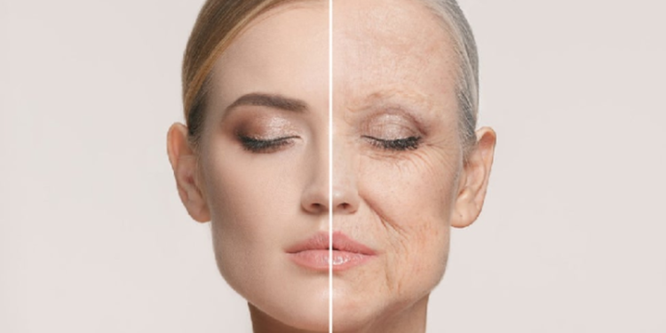 E bujshme, ndodh për herë të parë! Shkencëtarët bëjnë zbulimin e madh, arrijnë të ndalojnë procesin e plakjes tek njeriu përmes…