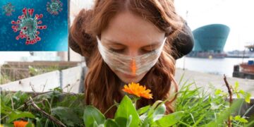 Ekspertët sqarojnë misterin e humbjes së nuhatjes nga Covid-19