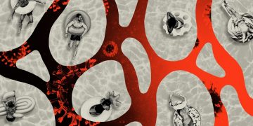 Ja se si do të përfundoj Covid-19