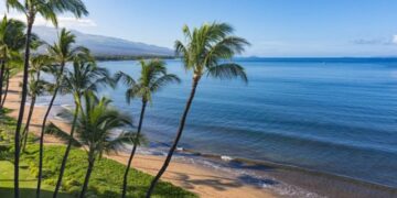 Hawaii ofron bileta vajtje-ardhje falas për punëtorët që duan të jetojnë dhe punojnë atje