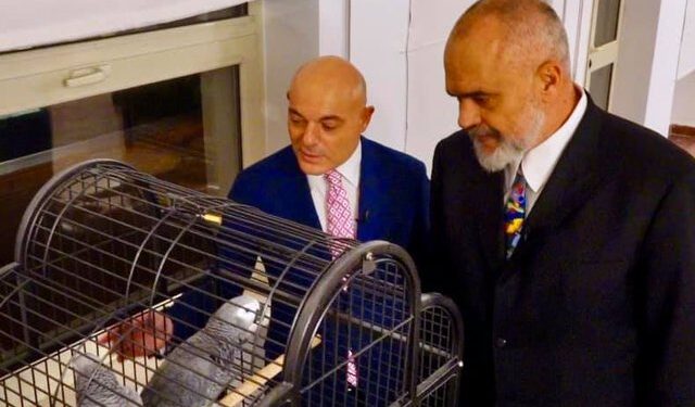 Ndodh për herë të parë/ Kryeministri Edi Rama shfaqet në krah të Blendi Fevziut dhe bën njoftimin e papritur