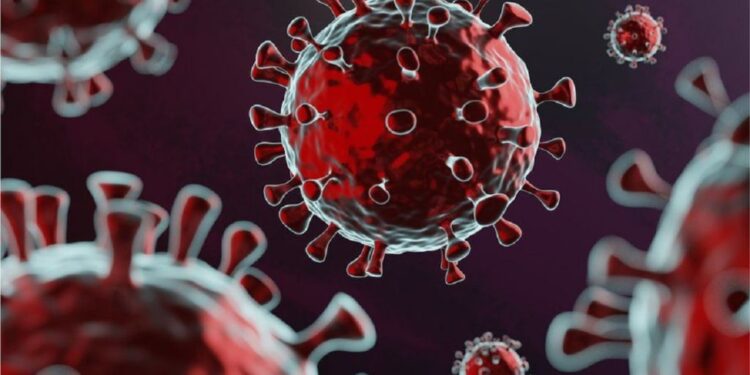 “Vitamina D mbron nga Covid”, ekspertët: Nuk ka prova të mjaftueshme