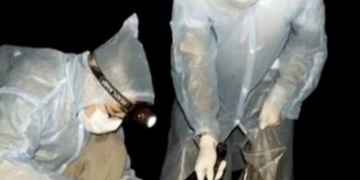 “Na kafshuan lakuriqët e natës të infektuar me COVID-19”, vjen dëshmia tronditëse nga shkencëtarët e Wuhan-it (Video)
