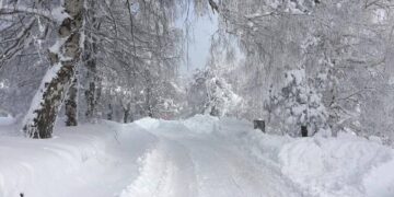 Moti/ Shi e borë në Qarkun e Korçës, çfarë duhet të dini nëse udhëtoni drejt Dardhës