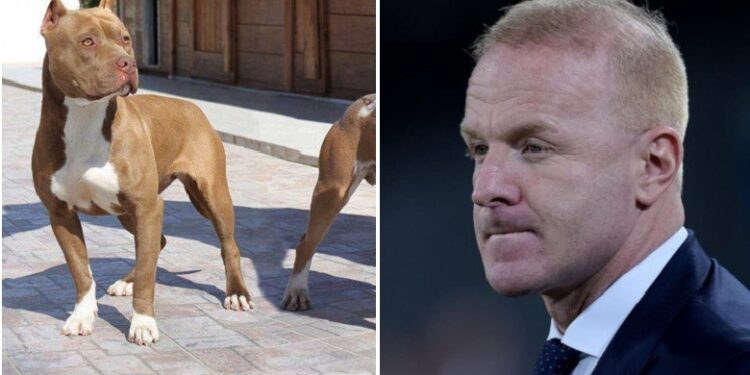 E rëndë në Itali/ Igli Tare sulmohet nga një pitbull ndërsa shëtiste, lëndohet vetë dhe humb një prej qenve