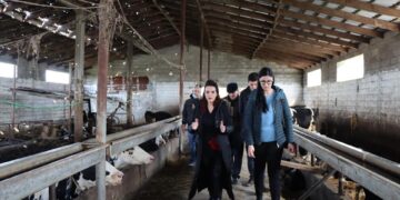 Grida Duma, e veshur “firmato” tek stalla e lopëve: Asnjë taksë për kë punon tokën! Naftë sa të doni me gjysëm çmimi