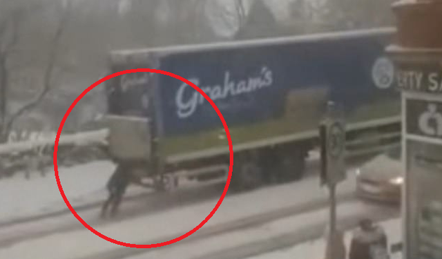 Gruaja bëhet hit në internet, filmohet duke shtyrë kamionin qumështit, shpërblehet nga kompania me… (Video)