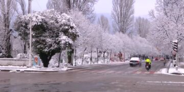 Festa e Shën Valentinit, kryeministri Rama publikon videon që po ‘thyen’ rrjetin: I rrallë fare…