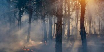 “Njerëzimi po vrapon drejt një të ardhmeje të tmerrshme”, shkencëtarët dalin me paralajmërimin e fortë: Mesazhi ynë mund të mos jetë i njohur, por është vërtet i frikshëm!