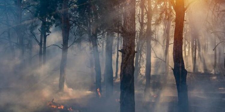 “Njerëzimi po vrapon drejt një të ardhmeje të tmerrshme”, shkencëtarët dalin me paralajmërimin e fortë: Mesazhi ynë mund të mos jetë i njohur, por është vërtet i frikshëm!