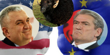 Pse Berisha e Meta po godasin SPAK pas aksionit?