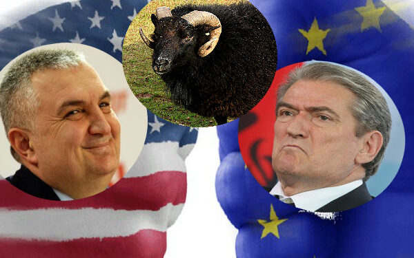 Pse Berisha e Meta po godasin SPAK pas aksionit?