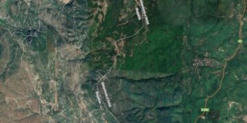 Denoncimi i gazetarit: I njëjti mal, e njëjta klimë, të njëjtat kushte natyrore. Përse në anën shqiptare ka rënë murtaja?