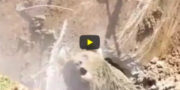 VIDEO/ Punëtorët në Turqi dëgjuan ulurimë nëntokë: Shikoni çfarë zbulojnë!