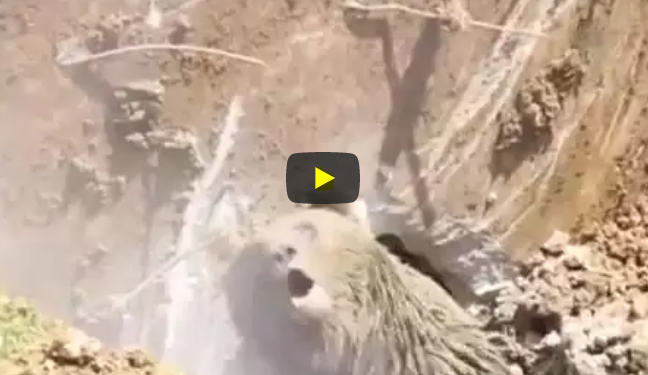 VIDEO/ Punëtorët në Turqi dëgjuan ulurimë nëntokë: Shikoni çfarë zbulojnë!