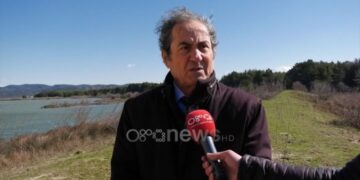Perla e “ambjentalistit” të PD: Aeroporti i Vlorës paraqet rrezik për aksidente ajrore, mund të futen në motorët e anijeve
