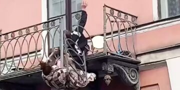 VIDEO dramatike/ Po bënin sherr, çifti bie nga ballkoni i katit të dytë