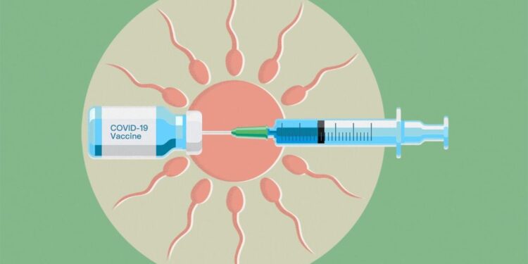 A shkaktojnë infertilitet vaksinat? Ja çfarë thotë studimi amerikan