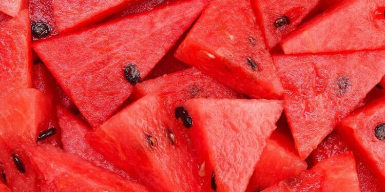 Si ta dalloni nëse shalqini ka nivel të lartë nitrati? Ekspertët bëjnë publike informacionet që duhet t’i dimë të gjithë